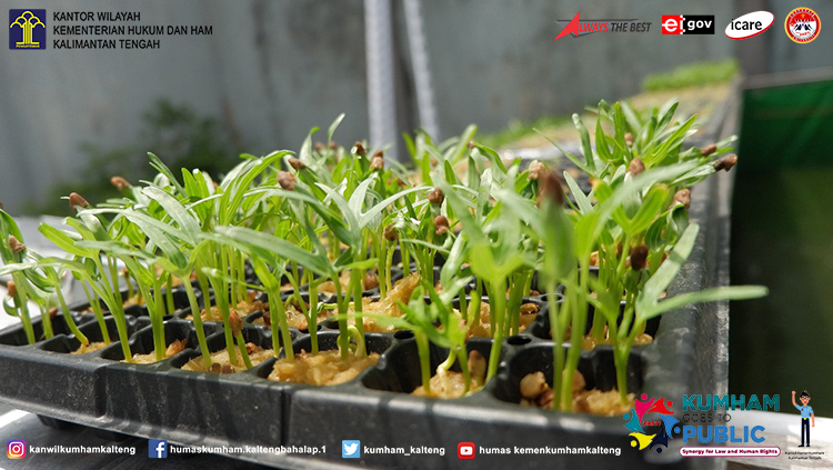 Lapas Sampit Terus Tingkatkan Kemandirian Narapidana
