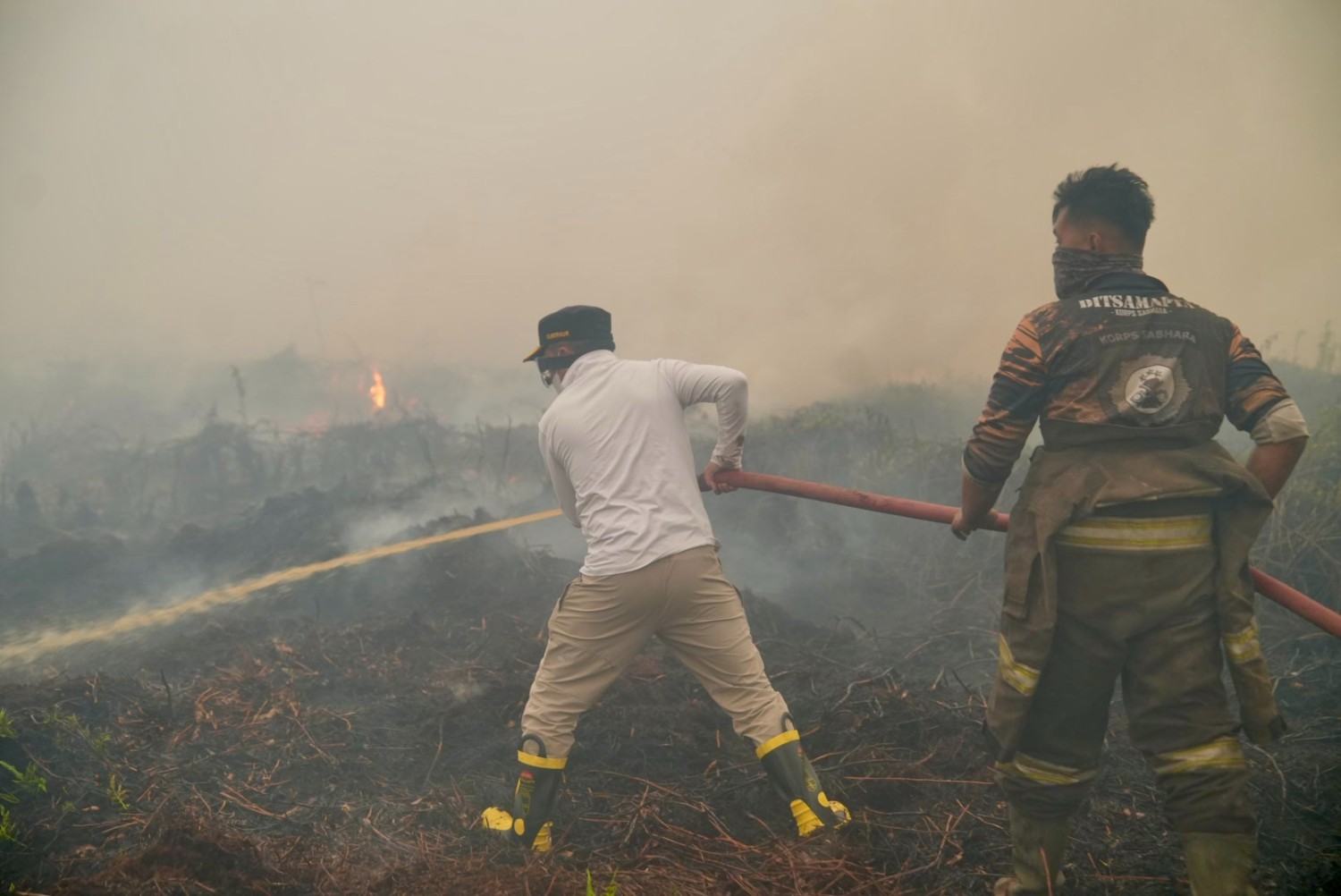 Lihat Titik Api di Kobar, Gubernur Agustiar Sabran Turun Memadamkan Karhutla