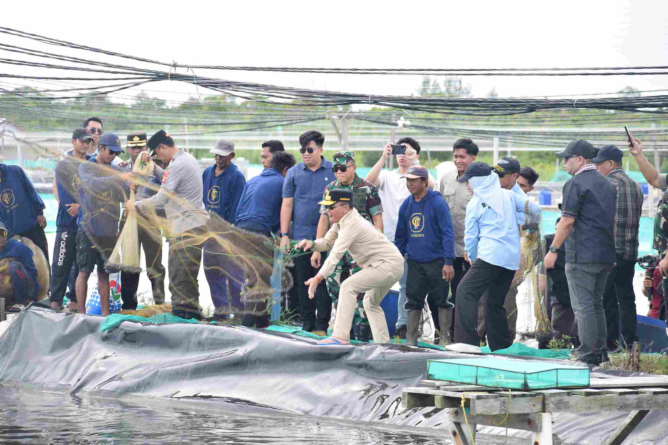 Dari Panen Hingga Restocking, Gubernur Kalteng Dorong Ekonomi Perikanan di Kawasan Shrimp Estate Berkah Kabupaten Sukamara