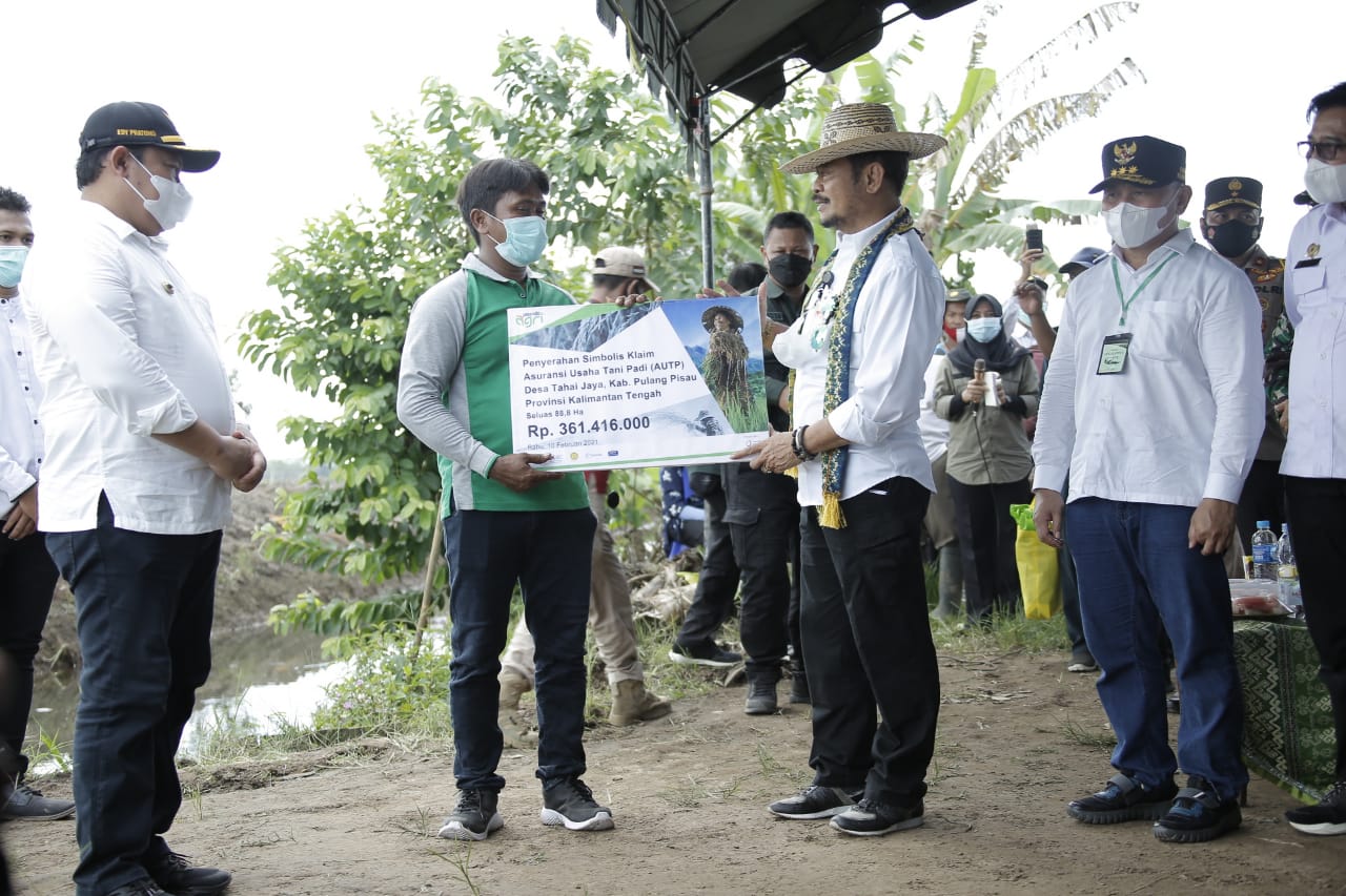 Panen Padi Perdana di Desa Gadabung Pulang Pisau, Mentan Optimis Food Estate di Kalteng Berhasil