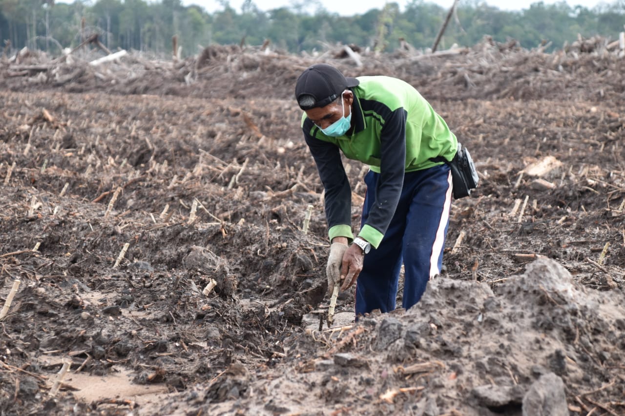 Menhan Tinjau Lahan dan Serap Aspirasi Masyarakat di Wilayah Food Estate Gunung Mas