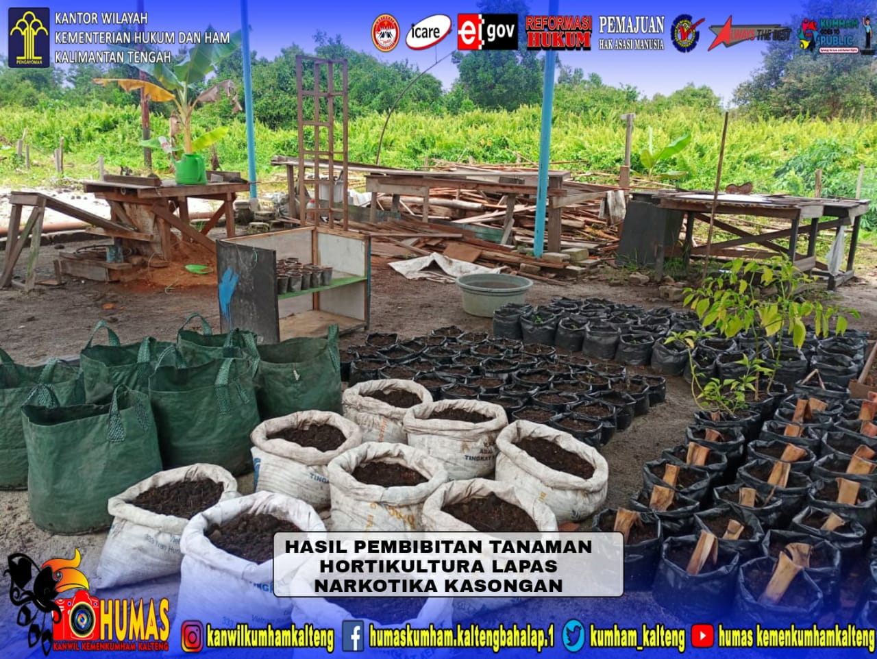 Lapas Narkotika Kasongan Jaga Ketahanan Pangan Melalui Pembibitan Tanaman Hortikultura