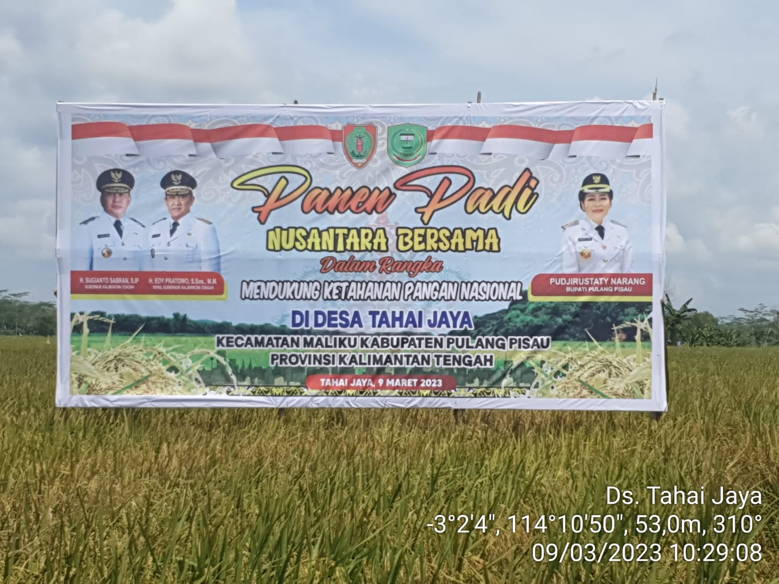 Dinas TPHP Prov. Kalteng Dukung Panen Raya Padi Nusantara dan Peningkatan Kualitas Mutu Beras 
