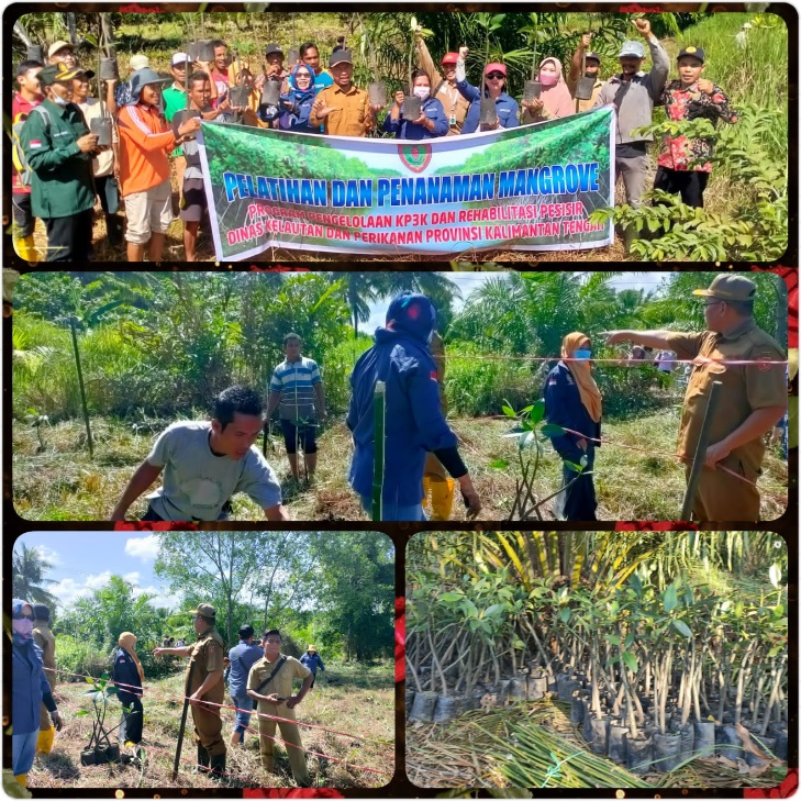 Peringati Coral Triangle Day ke-11, Dislutkan Kalteng Tanam Mangrove Bersama Warga Pesisir di Desa Sabuai Kobar