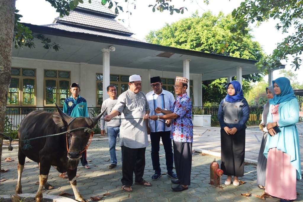 Pemkab Serahkan Delapan Sapi Kurban