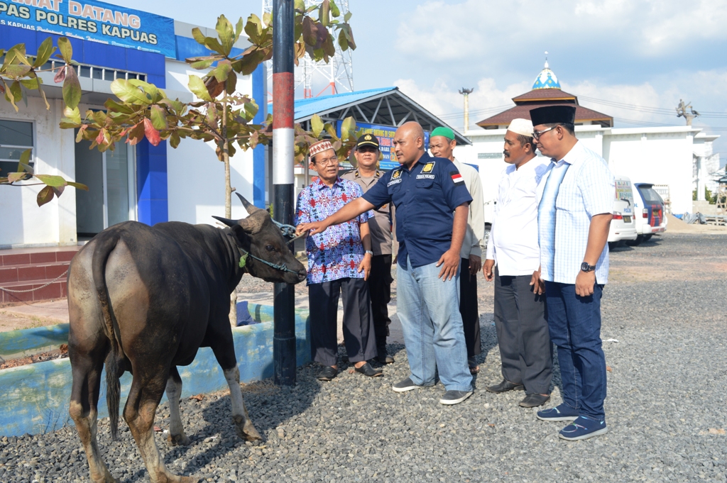 Pemkab Serahkan Delapan Sapi Kurban