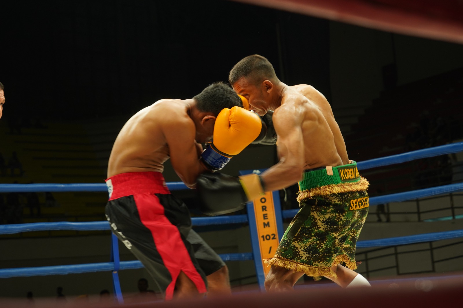Kejuaraan Palangka Raya Boxing Big Fight 2023 Ampro, Dalam Rangka HUT TNI Ke-78