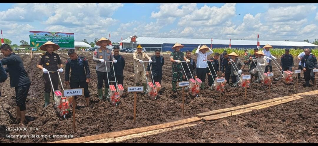 Tingkatkan Produktivitas Jagung Program Swasembada Pangan  dengan Teknologi Benih Unggul Hibrida