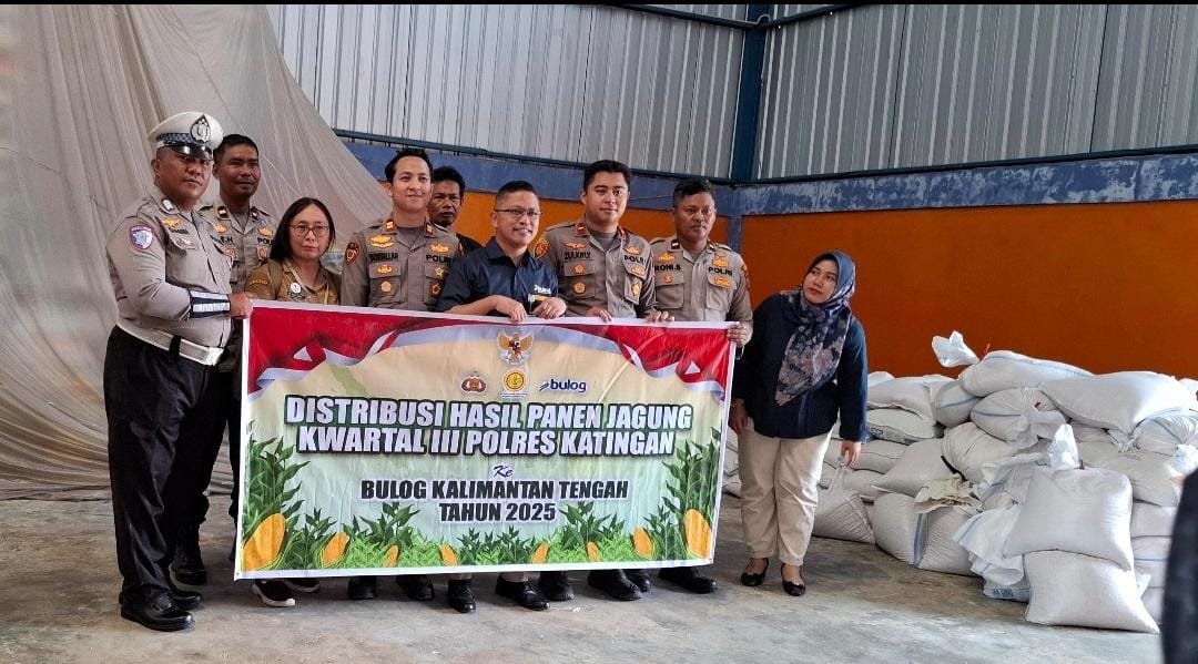 Tingkatkan Produktivitas Jagung Program Swasembada Pangan  dengan Teknologi Benih Unggul Hibrida