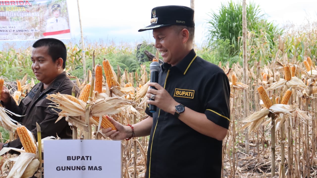 Bupati Gunung Mas Ajak Para Petani Tingkatkan Pemanfaatan Lahan