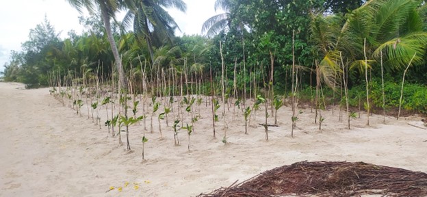 Pemprov Kalteng Dorong Kelestarian Ekosistem Pesisir, Warga Sungai Bundung Sukamara Ikuti Pelatihan dan Penanaman Mangrove