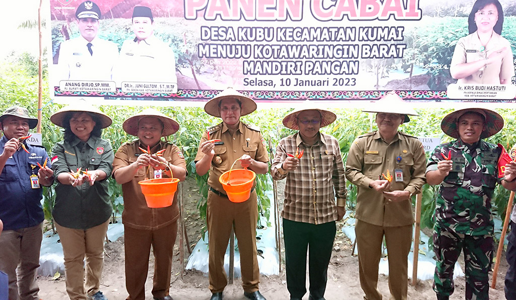 Panen Cabai dan Bawang Merah, Pj Bupati Kobar Apresiasi Petani di Desa Kubu dan Sebuai Timur