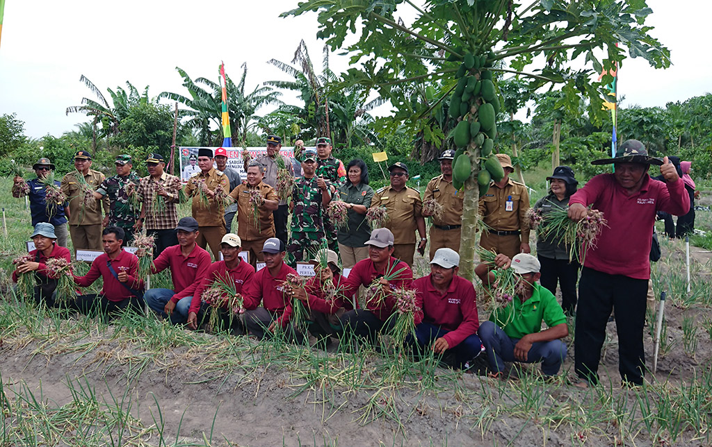 Panen Cabai dan Bawang Merah, Pj Bupati Kobar Apresiasi Petani di Desa Kubu dan Sebuai Timur