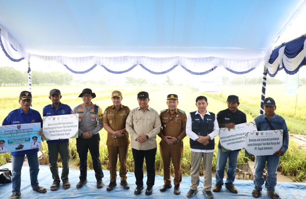 Teknologi Pemupukan dan Combine Harvester Perkuat Produksi Padi di Pulang Pisau