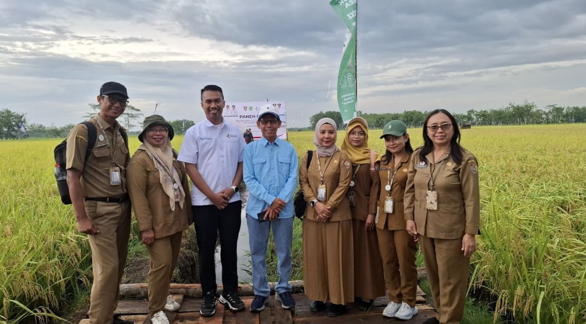 Teknologi Pemupukan dan Combine Harvester Perkuat Produksi Padi di Pulang Pisau