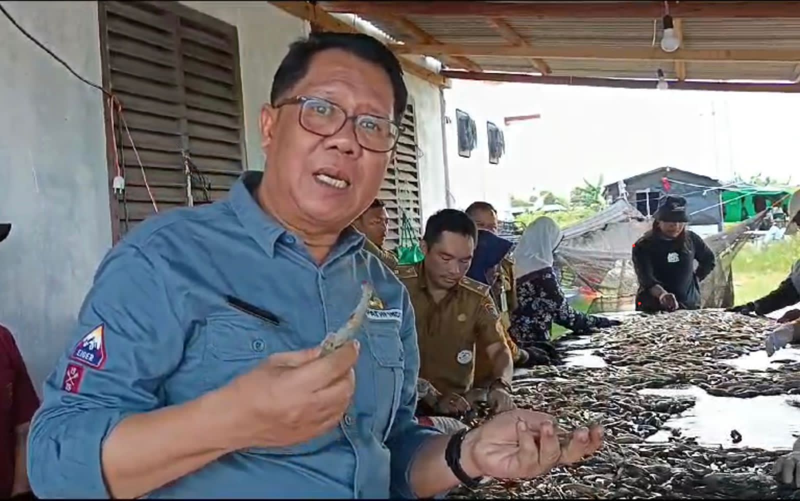 Produksi Meningkat, Shrimp Estate Berkah Kembali Hasilkan 4,8 Ton Udang Vaname