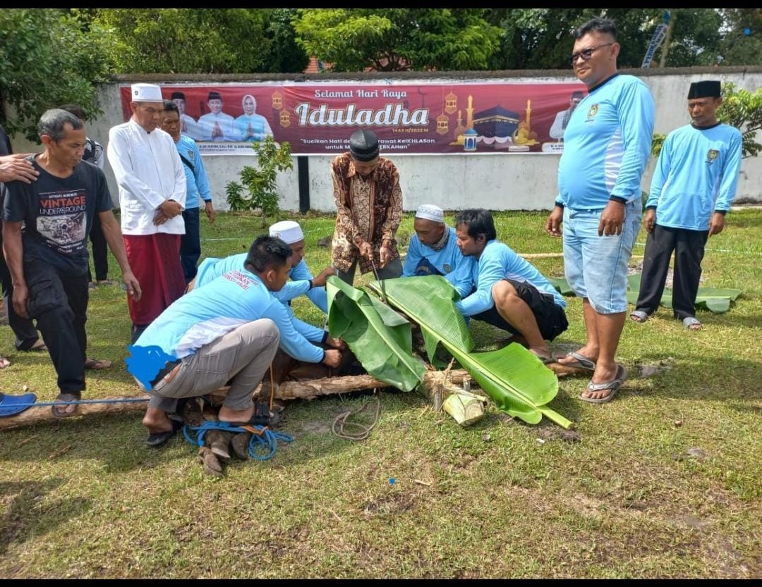 Rayakan Hari Raya Iduladha 1443 Hijriah, Dinsos Prov. Kalteng Kurban Tiga Ekor Sapi