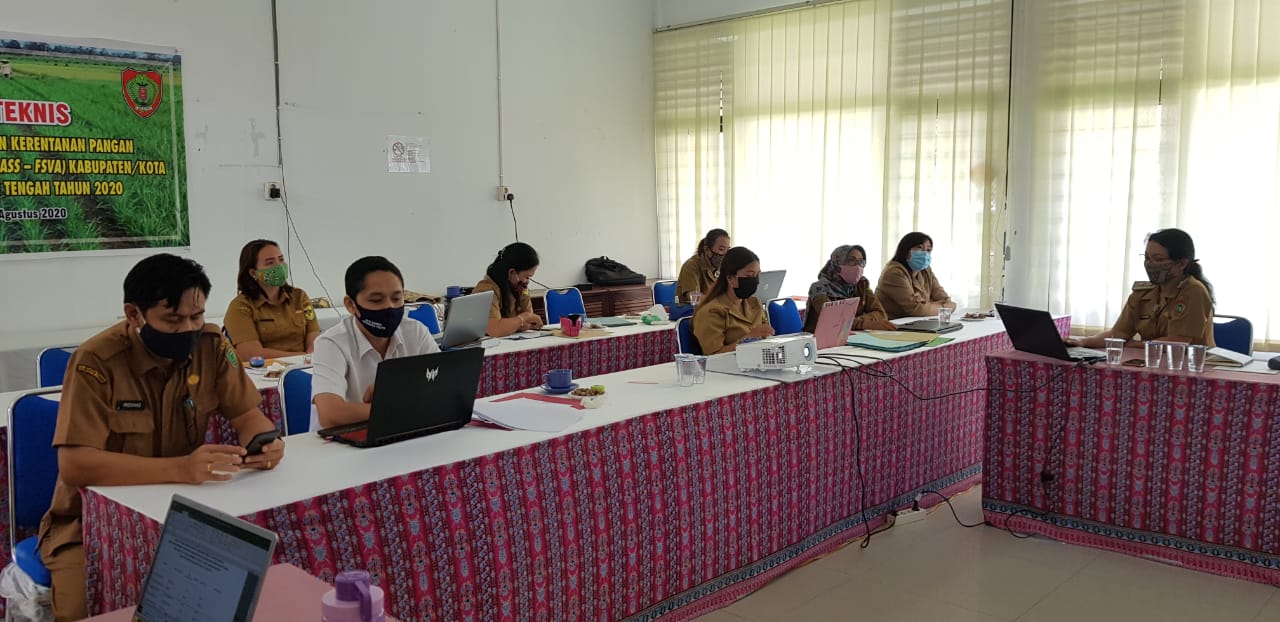 Untuk Informasi Ketahanan Pangan yang Akurat dan Komprehensif, Dinas Ketahanan Pangan Kalteng Gelar Bimtek Penyusunan FSVA