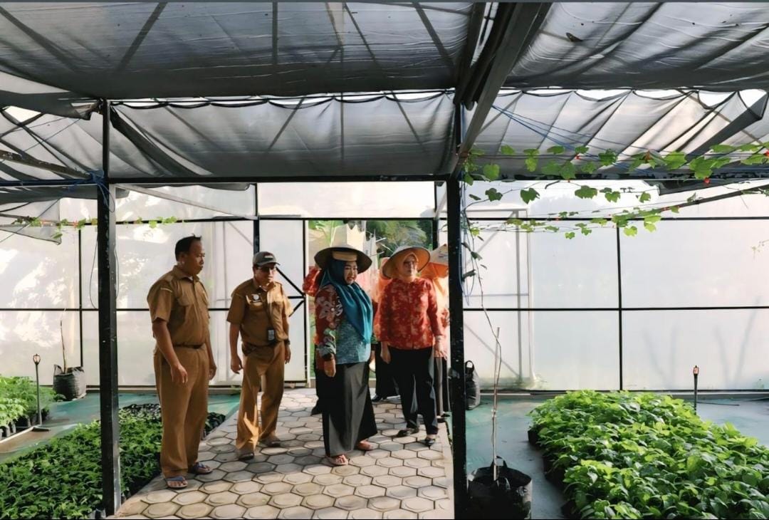 Dinas TPHP Prov. Kalteng Siap Berikan Bibit Cabai Kepada Masyarakat