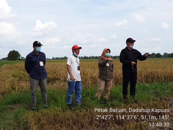 Plt Gubernur Kalteng Tinjau Lokasi Food Estate Eks PLG di Desa Petak Batuah Kecamatan Dadahup Kabupaten Kapuas