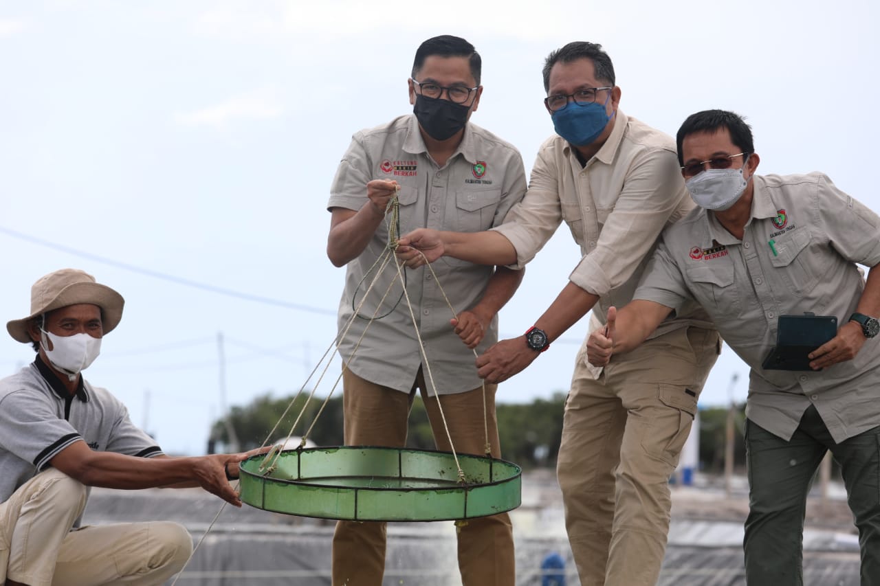 Gerak Cepat, Dinas Teknis Dislutkan  dan  Stakeholders Terkait Tinjau Kawasan Pengembangan Shrimp Estate