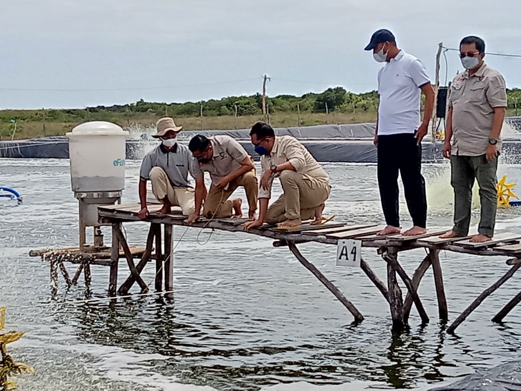 Gerak Cepat, Dinas Teknis Dislutkan  dan  Stakeholders Terkait Tinjau Kawasan Pengembangan Shrimp Estate