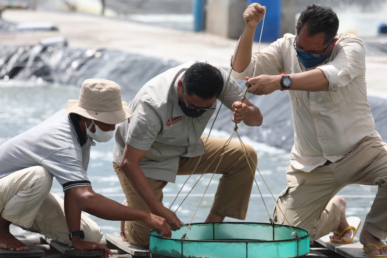 Leonard S Ampung : Gubernur Sugianto Sabran Miliki Komitmen  Tinggi Kembangkan Shrimp Estate