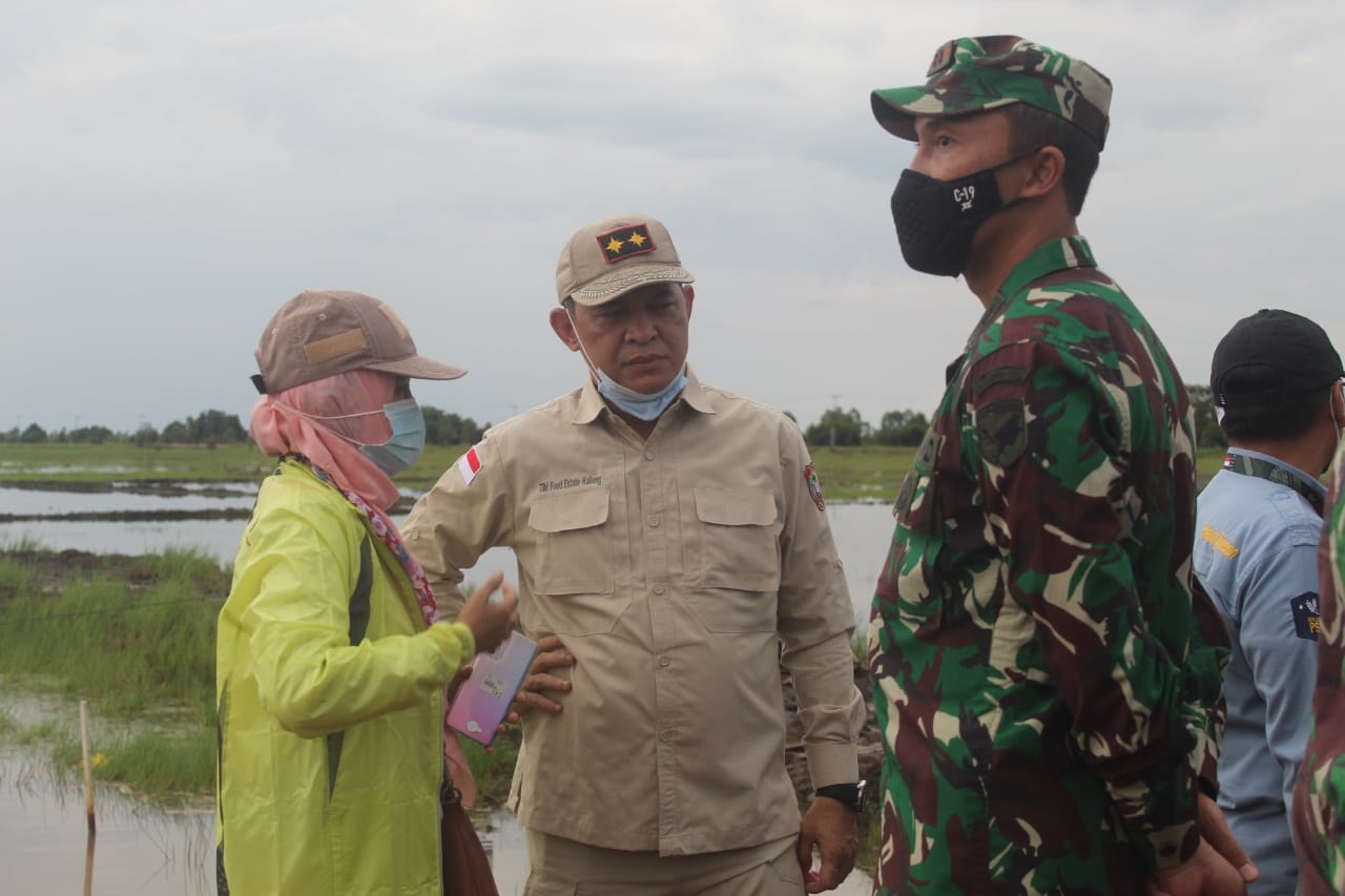 Sekda Kalteng Dampingi Sekjen Kementan RI Tinjau Lokasi Pengembangan Food Estate di Desa Bentuk Jaya Blok A5, Kecamatan Dadahup, Kapuas