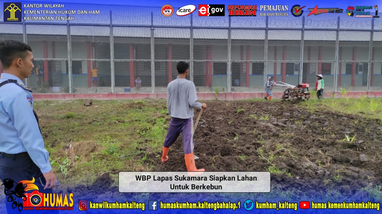 WBP Lapas Sukamara Siapkan Lahan Untuk Berkebun