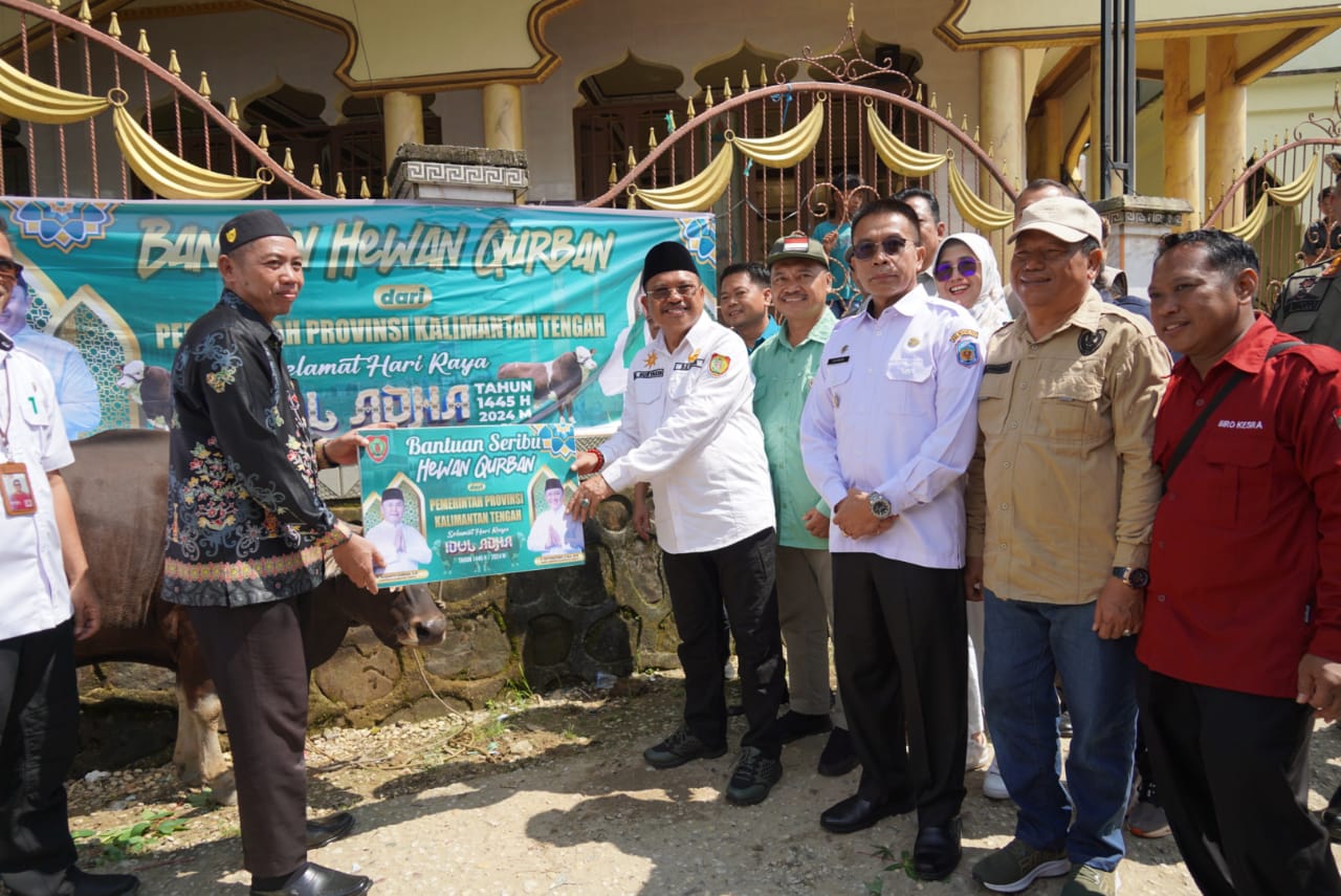 Sekda Nuryakin Kembali Serahkan Sapi Limousin dan Gratiskan Pasar Murah di Muara Tuhup dan Laung Tuhup Murung Raya
