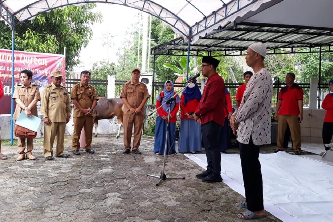 Rayakan Iduladha 1443 Hijriah, Disbun Prov. Kalteng Potong Tiga Ekor Sapi Kurban