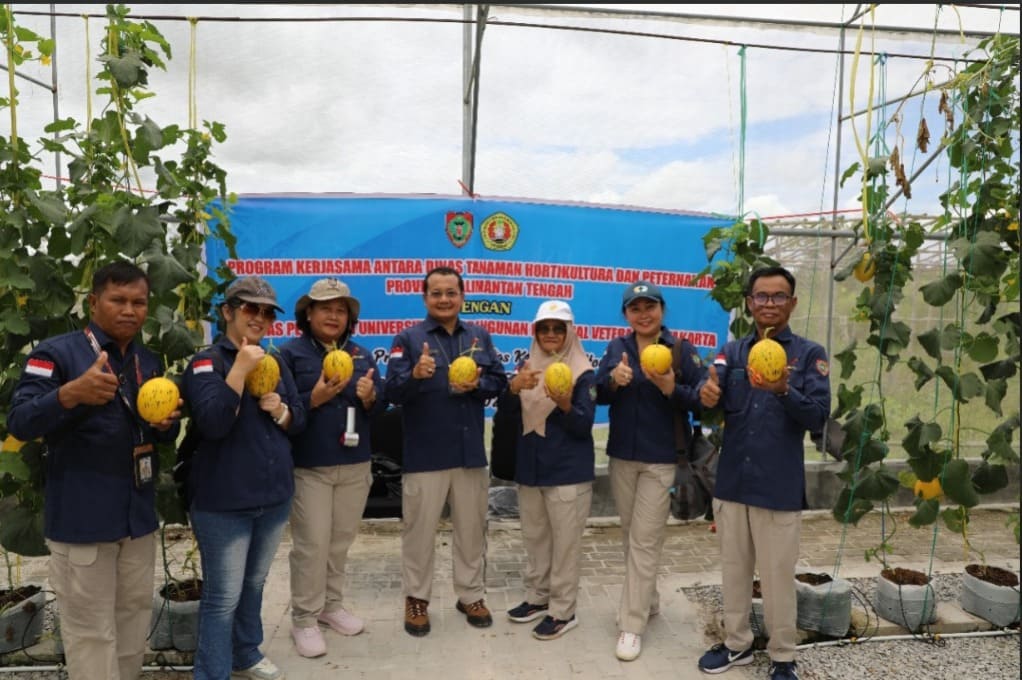Terapkan Teknologi Smart Green House, Dinas TPHP Prov Kalteng panen melon berkualitas tinggi 