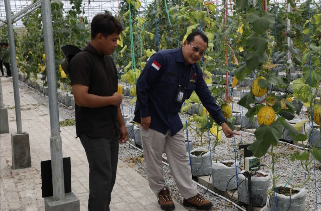 Terapkan Teknologi Smart Green House, Dinas TPHP Prov Kalteng panen melon berkualitas tinggi 