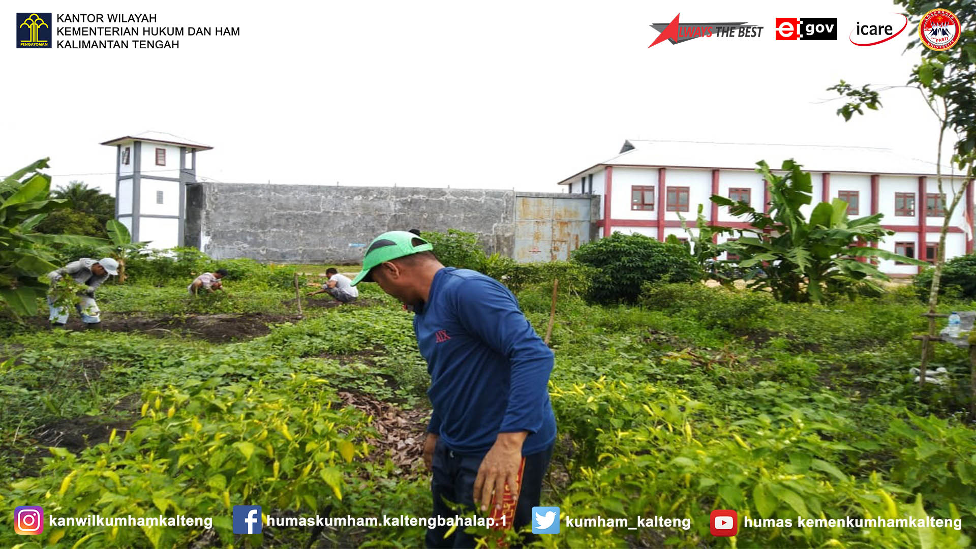 Memanfaatkan Lahan Kosong, Lapas Sukamara Panen Sayur-Sayuran