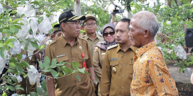 Rencana Agrowisata  Terpadu Di Lahan Gambut