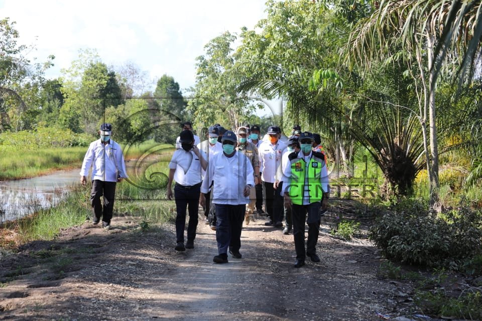 Menteri PUPR Tinjau Infrastruktur Lokasi Food Estate Di Desa Bentuk Jaya Kab. Kapuas