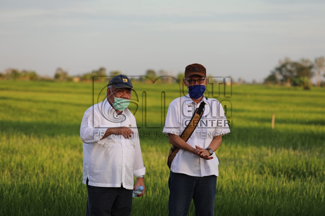 Menteri PUPR Tinjau Infrastruktur di 3 Lokasi Program Food Estate Kab Kapuas