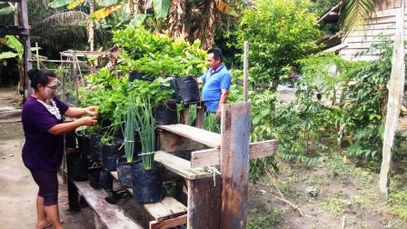 Murung Raya Dorong Kemandirian Pangan Masyarakat