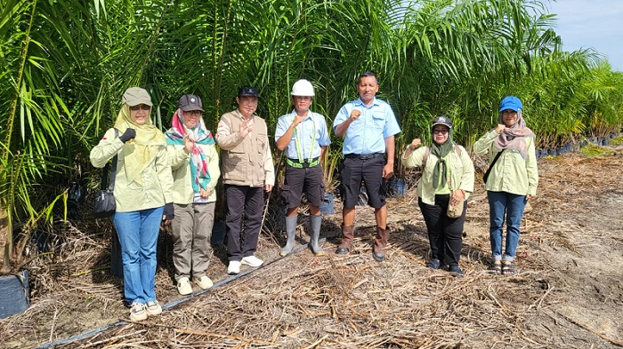Jamin Peredaran Benih Bermutu, Disbun Prov Kalteng Gencarkan Sertifikasi Benih Kelapa Sawit
