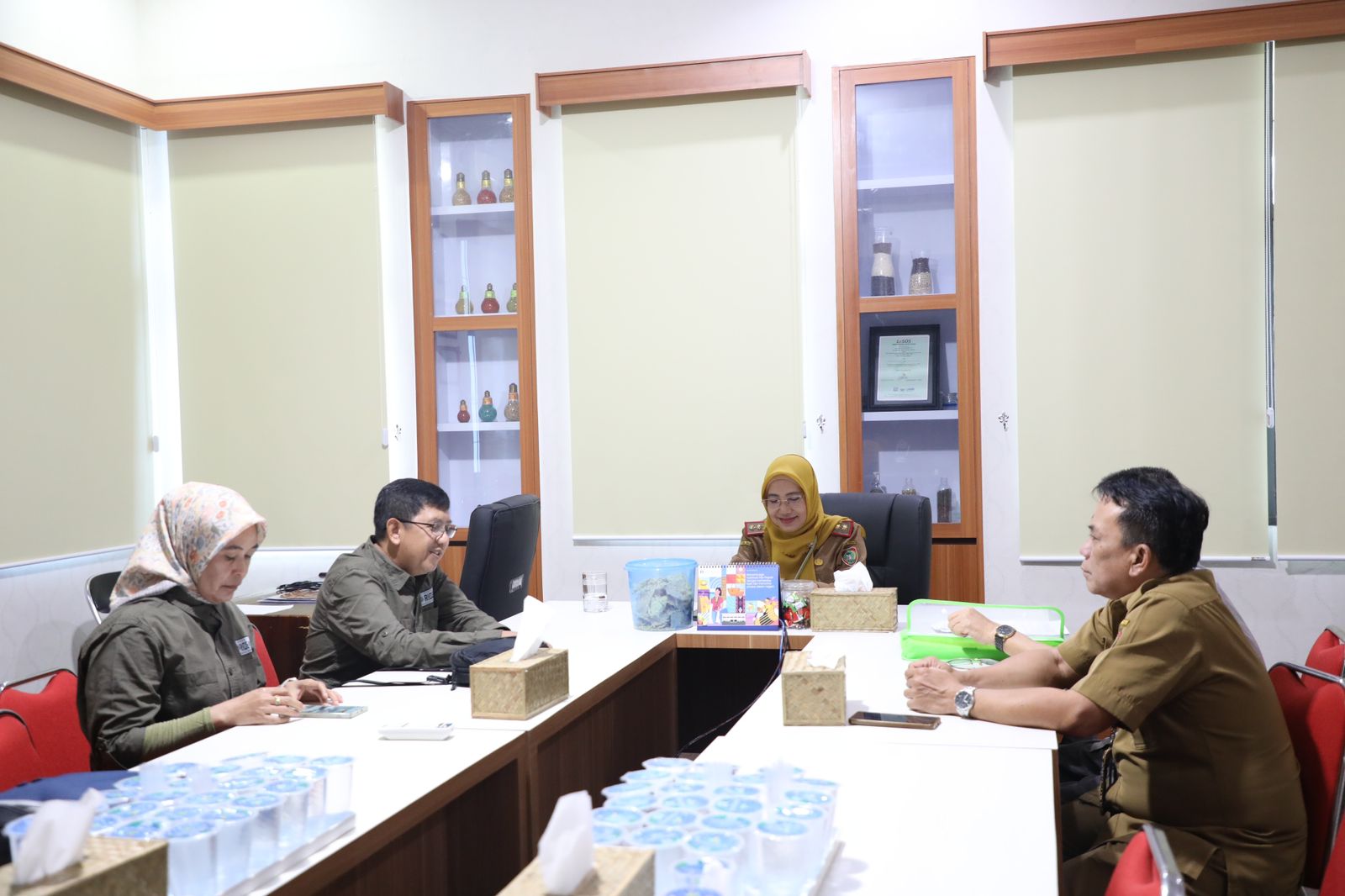 Kadis TPHP Prov. Kalteng Lakukan Rapat Bersama Ditjen PSP Bahas Persiapan Cetak Sawah