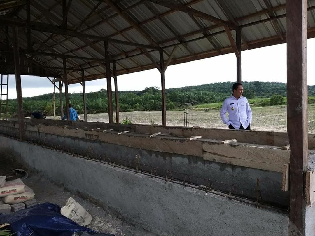 Bupati Cek Pembangunan Kandang Sapi Desa Sumber Cahaya