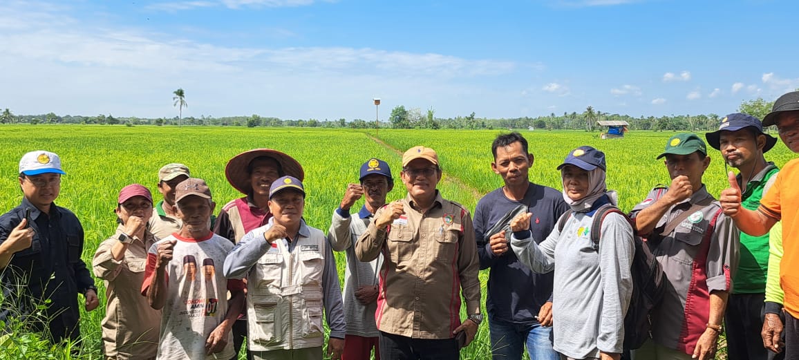 Dinas TPHP Prov. Kalteng Kendalikan Hama Tikus dengan Rubuha