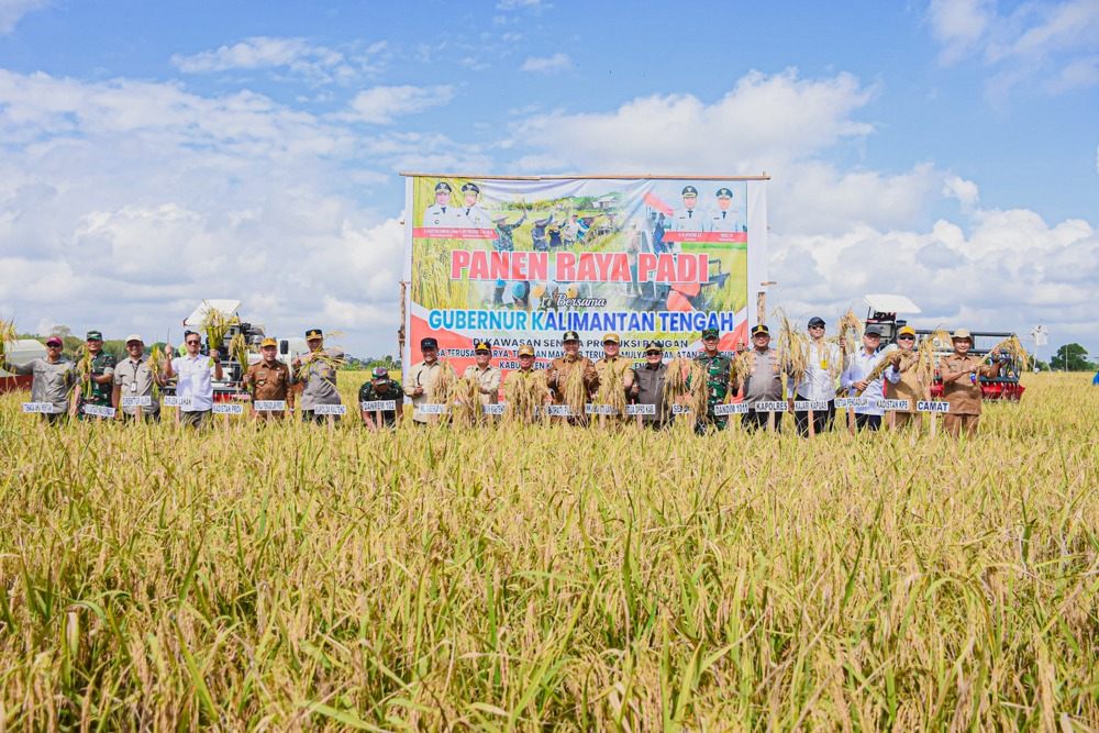Panen Raya di Kapuas, Gubernur Agustiar Sabran Tegaskan Komitmen Bangun Infrastruktur Pertanian