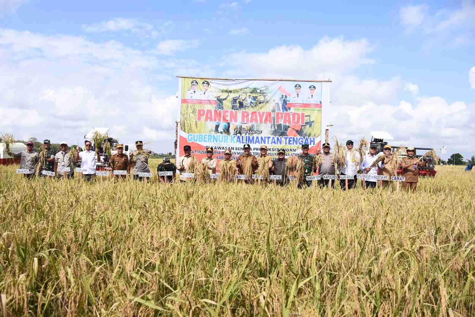 Bupati Kapuas Dampingi Gubernur Kalteng Lakukan Panen Raya Padi di Kecamatan Bataguh