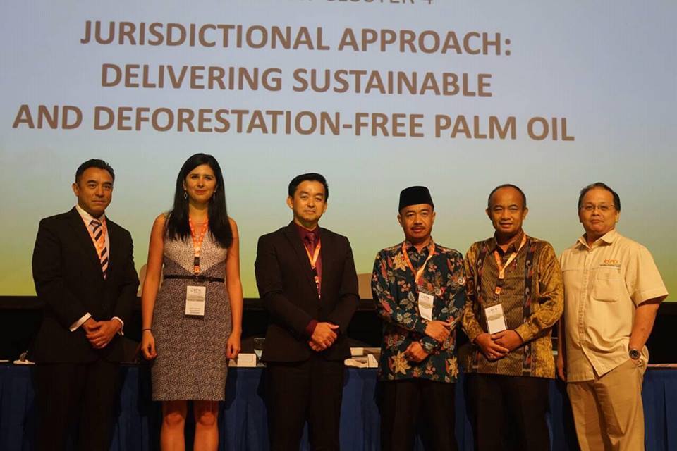 Yulhaidir sebagai Pembicara pada Pertemuan Tahunan Ke-16 Ro Undtable Sustainable Palm Oil