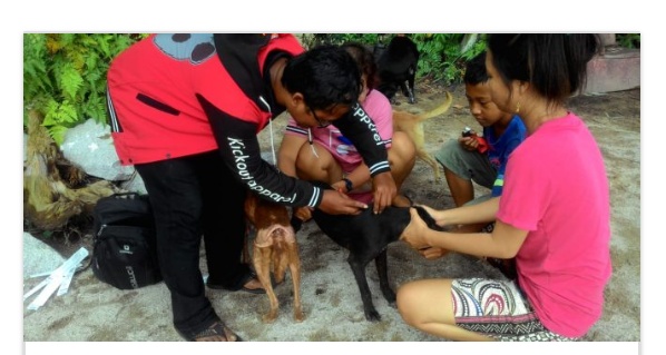 Kasus Rabies di Palangka Raya Menurun