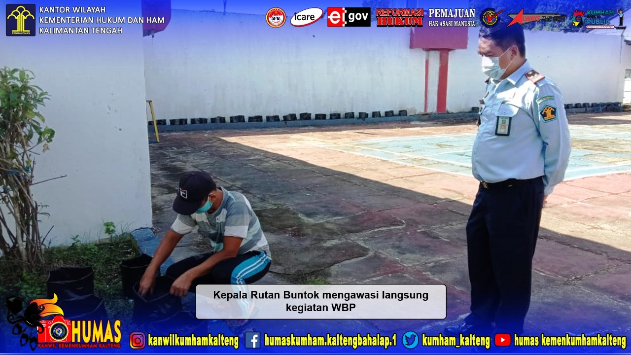 Budidaya Jagung Bentuk Ketahanan Pangan di Rutan Buntok