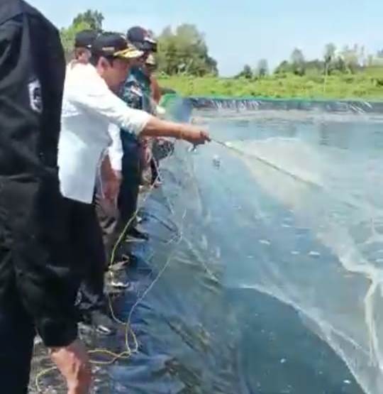 Kadislutkan Prov. Kalteng Dampingi Wagub Kunjungi Tambak Udang Vaname di Sukamara