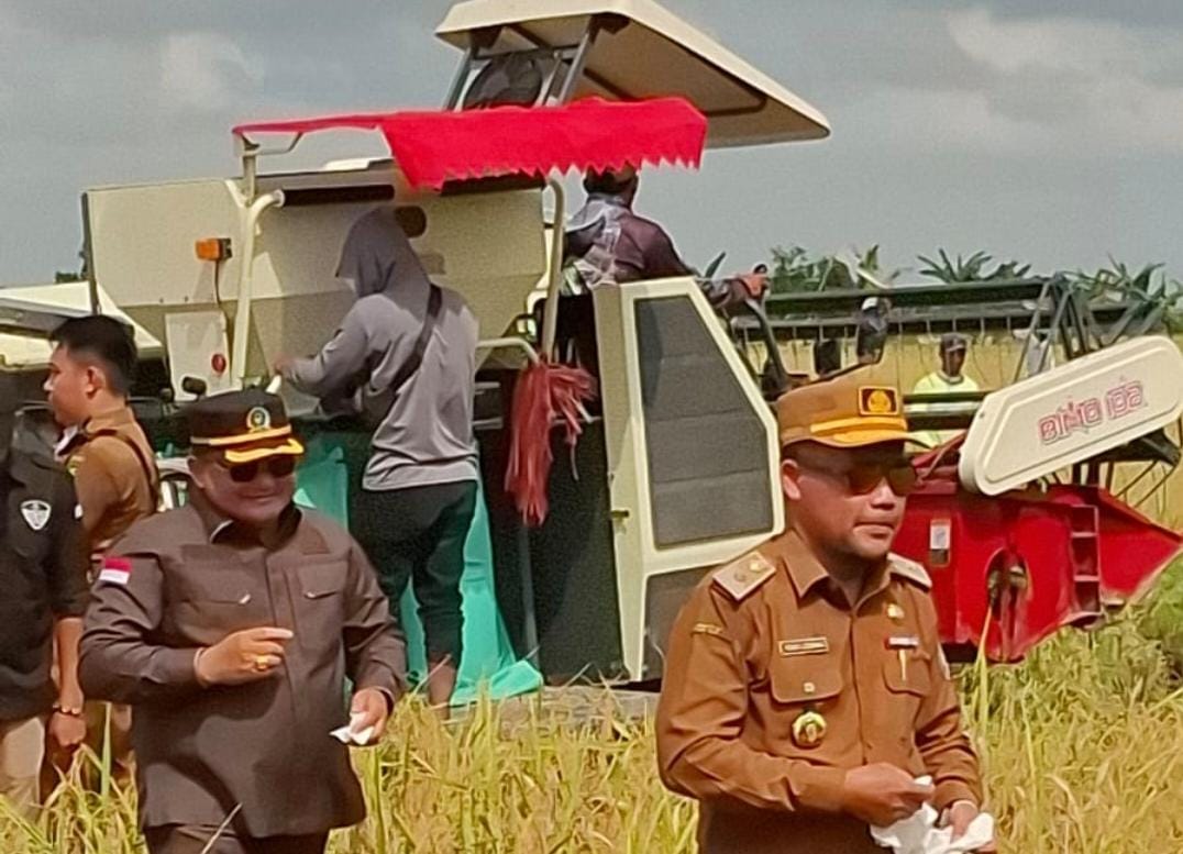 Tingkatkan Efisiensi dan Produktivitas Panen Padi di Lahan Pasang Surut, Kadis TPHP Tekankan Penggunaan Teknologi Pascapanen Modern