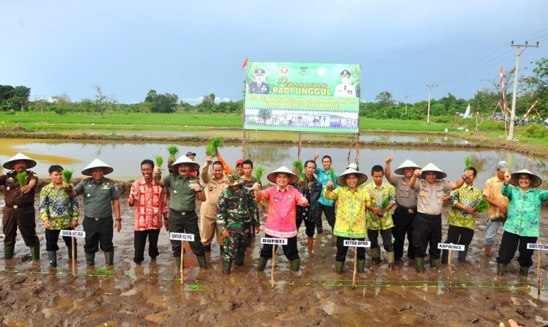 Menjaga Ketahanan Pangan
